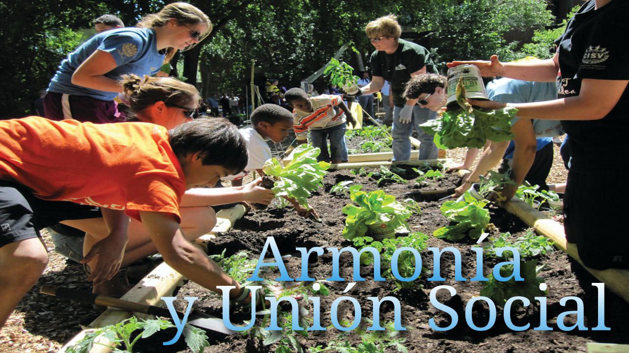 armonía y union
